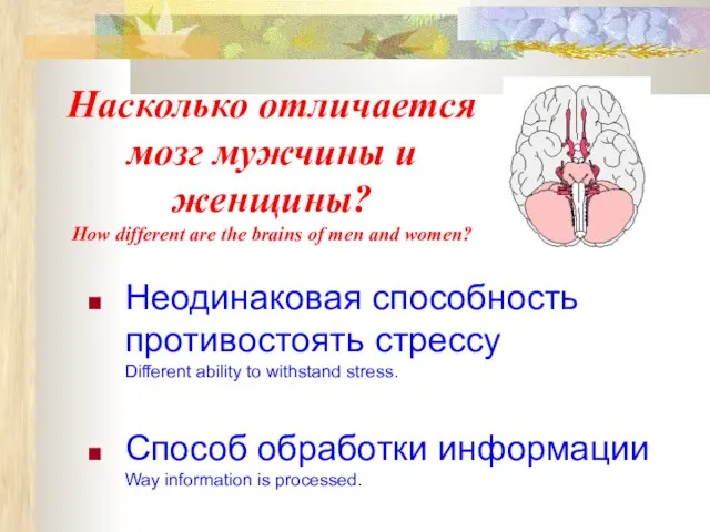 Неодинаковая способность противостоять стрессу Different ability to withstand stress. Способ обработки информации