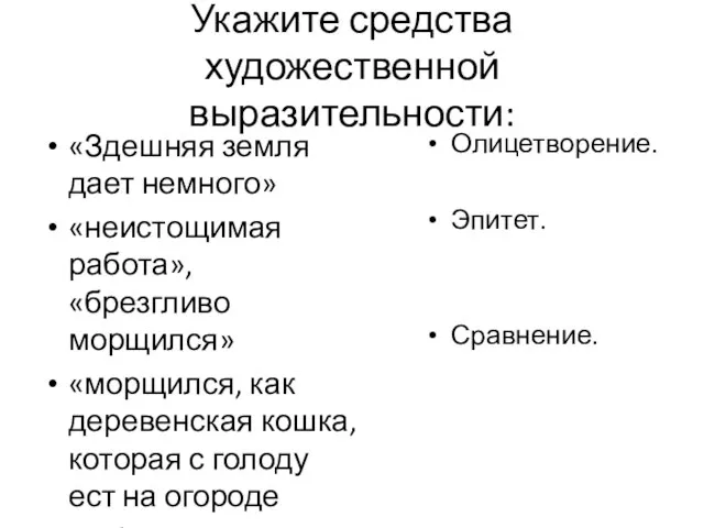 Укажите средства художественной выразительности: «Здешняя земля дает немного» «неистощимая работа», «брезгливо морщился»