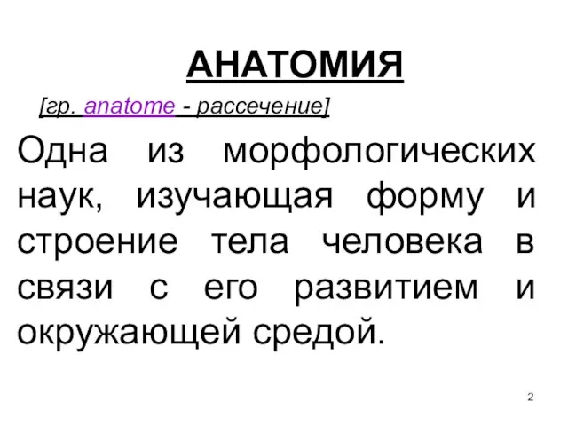 АНАТОМИЯ [гр. anatome - рассечение] Одна из морфологических наук, изучающая форму и