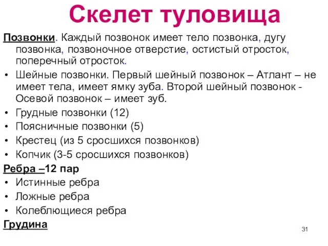 Скелет туловища Позвонки. Каждый позвонок имеет тело позвонка, дугу позвонка, позвоночное отверстие,