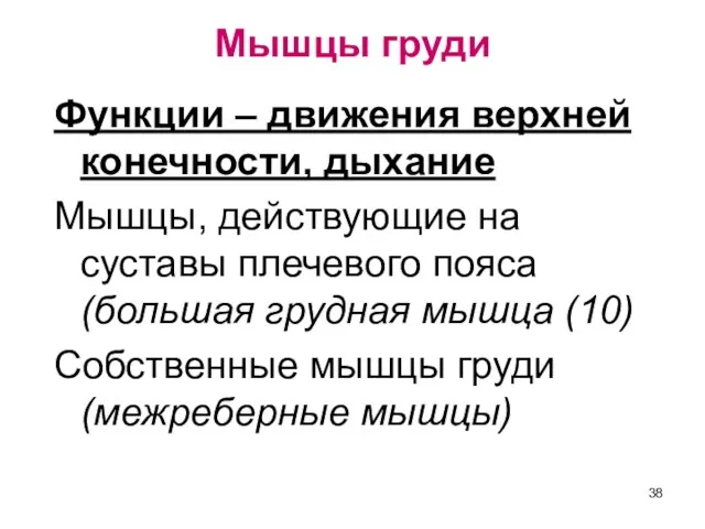 Мышцы груди Функции – движения верхней конечности, дыхание Мышцы, действующие на суставы