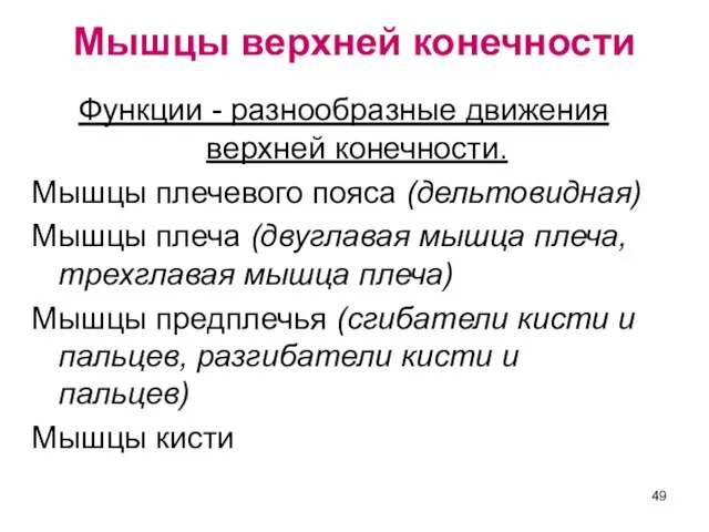 Мышцы верхней конечности Функции - разнообразные движения верхней конечности. Мышцы плечевого пояса