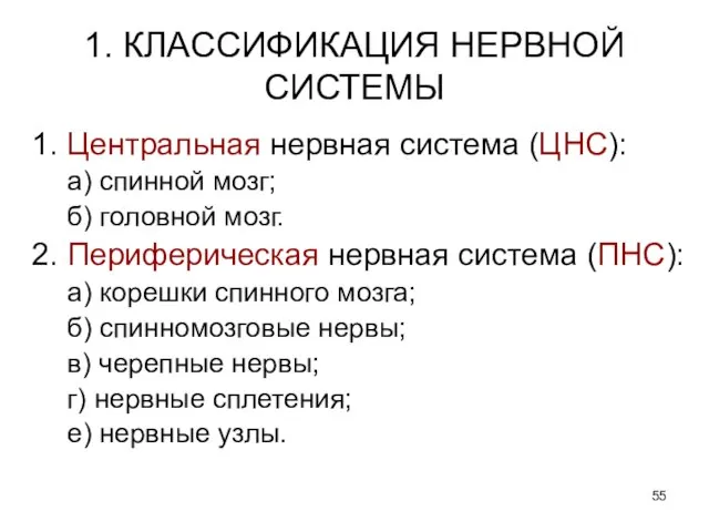 1. КЛАССИФИКАЦИЯ НЕРВНОЙ СИСТЕМЫ 1. Центральная нервная система (ЦНС): а) спинной мозг;