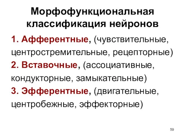 Морфофункциональная классификация нейронов 1. Афферентные, (чувствительные, центростремительные, рецепторные) 2. Вставочные, (ассоциативные, кондукторные,