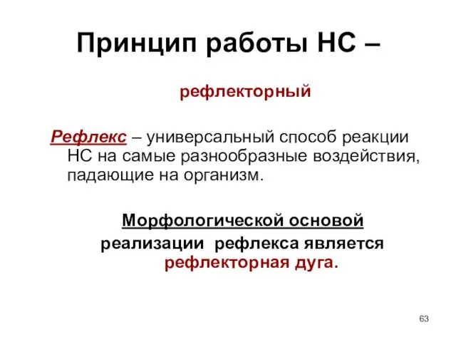 Принцип работы НС – рефлекторный Рефлекс – универсальный способ реакции НС на