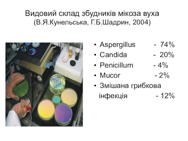 Видовий склад збудників мікоза вуха (В.Я.Кунельська, Г.Б.Шадрин, 2004) Aspergillus - 74% Candida