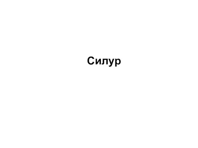 Cилур