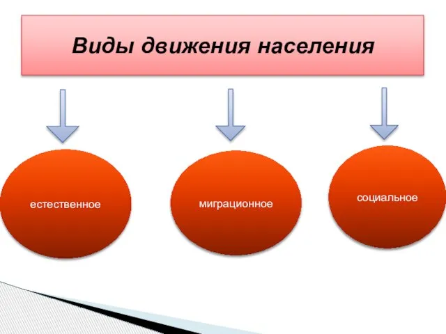 Виды движения населения естественное миграционное социальное