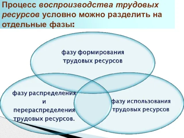 Процесс воспроизводства трудовых ресурсов условно можно разделить на отдельные фазы: