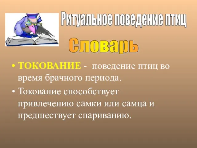 ТОКОВАНИЕ - поведение птиц во время брачного периода. Токование способствует привлечению самки