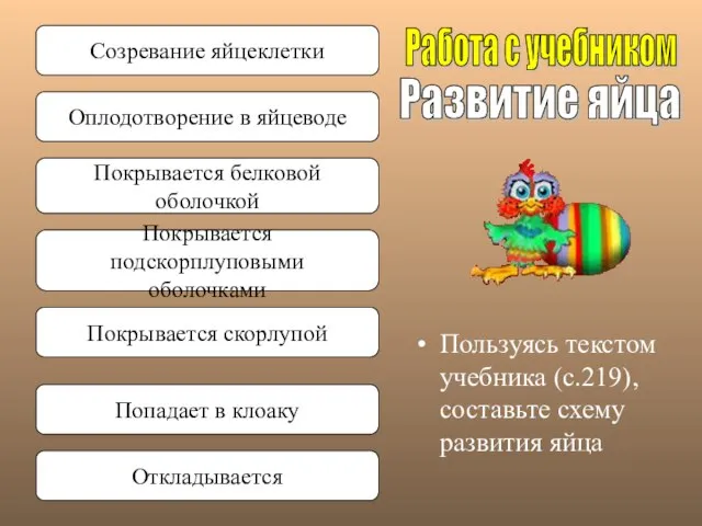 Пользуясь текстом учебника (с.219), составьте схему развития яйца Развитие яйца Работа с