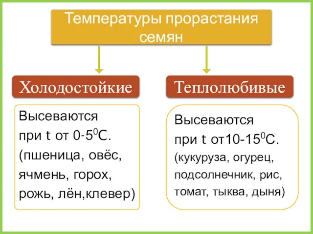 Высеваются при t от 0-50C. (пшеница, овёс, ячмень, горох, рожь, лён,клевер) Температуры