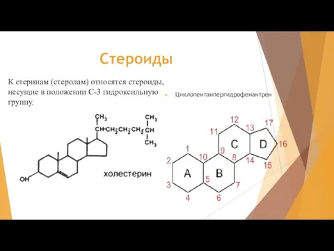 Стероиды Циклопентанпергидрофенантрен К стеринам (стеролам) относятся стероиды, несущие в положении С-3 гидроксильную группу.