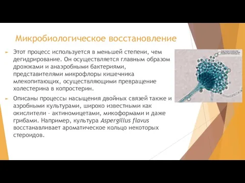 Микробиологическое восстановление Этот процесс используется в меньшей степени, чем дегидрирование. Он осуществляется