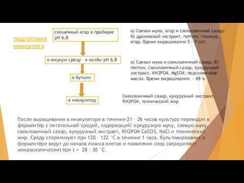 После выращивания в инокуляторе в течение 21 – 26 часов культуру переводят