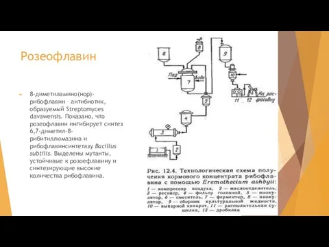 Розеофлавин 8-диметиламино(нор)-рибофлавин – антибиотик, образуемый Streptomyces davawensis. Показано, что розеофлавин ингибирует синтез