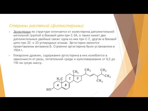 Стерины растений (фитостерины) Эргостерин по структуре отличается от холестерина дополнительной метильной группой