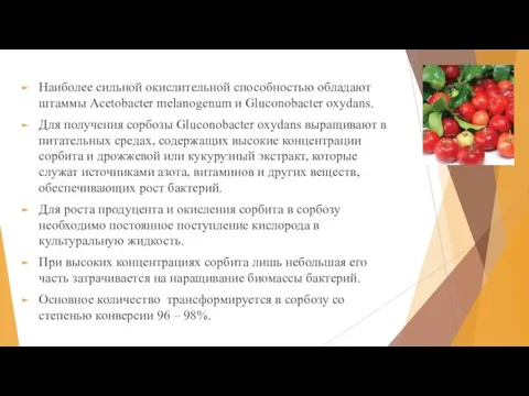 Наиболее сильной окислительной способностью обладают штаммы Acetobacter melanogenum и Gluconobacter oxydans. Для