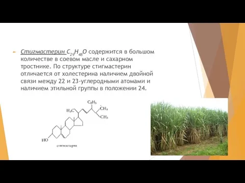 Стигмастерин С29H48О содержится в большом количестве в соевом масле и сахарном тростнике.