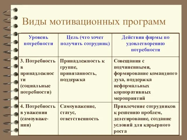 Виды мотивационных программ