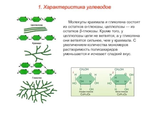 Молекулы крахмала и гликогена состоят из остатков α-глюкозы, целлюлозы — из остатков