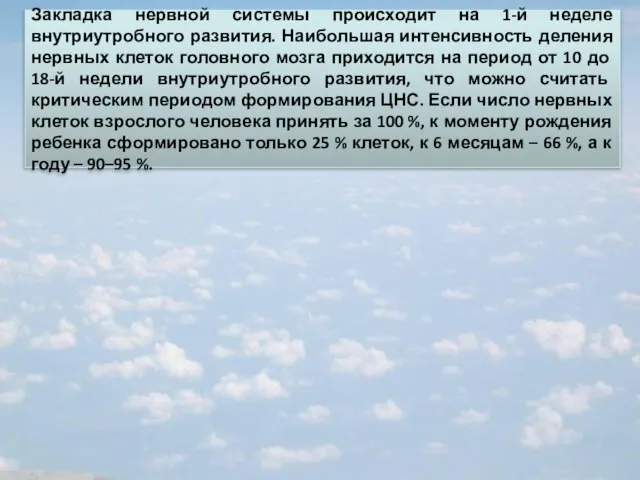 Закладка нервной системы происходит на 1-й неделе внутриутробного развития. Наибольшая интенсивность деления