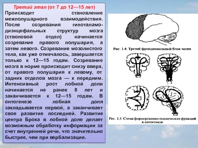 Третий этап (от 7 до 12—15 лет) Происходит становление межполушарного взаимодействия. После