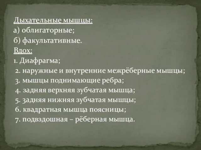 Дыхательные мышцы: а) облигаторные; б) факультативные. Вдох: 1. Диафрагма; 2. наружные и