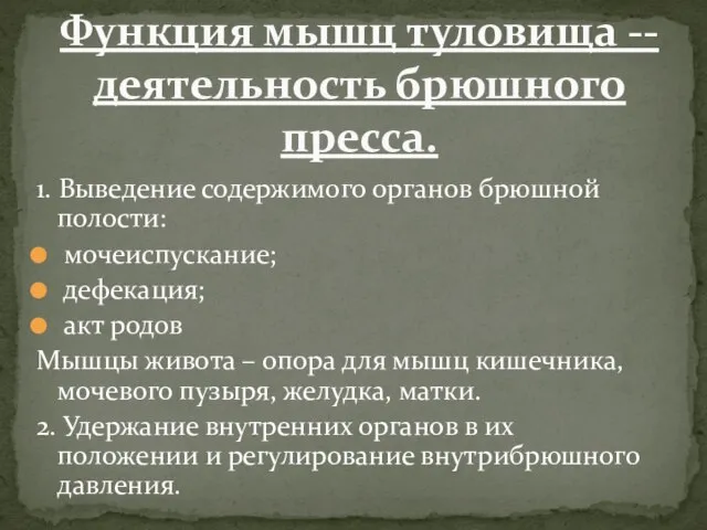 1. Выведение содержимого органов брюшной полости: мочеиспускание; дефекация; акт родов Мышцы живота