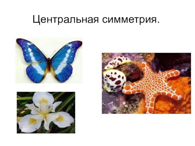 Центральная симметрия.