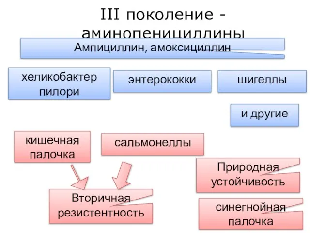 III поколение - аминопенициллины хеликобактер пилори кишечная палочка сальмонеллы шигеллы и другие