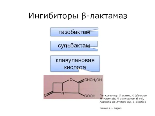 Ингибиторы β-лактамаз клавулановая кислота сульбактам тазобактам Пенициллинор. S. aureus, H. influenzae, М.