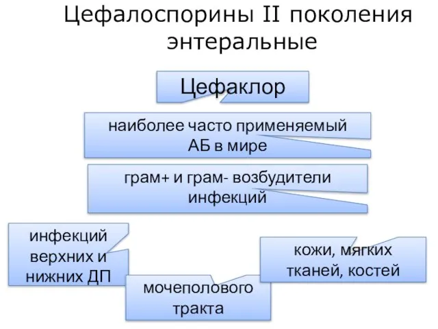 Цефалоспорины II поколения энтеральные наиболее часто применяемый АБ в мире Цефаклор инфекций