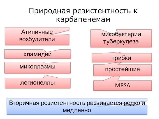 легионеллы Атипичные возбудители микоплазмы MRSA простейшие грибки хламидии микобактерии туберкулеза Вторичная резистентность