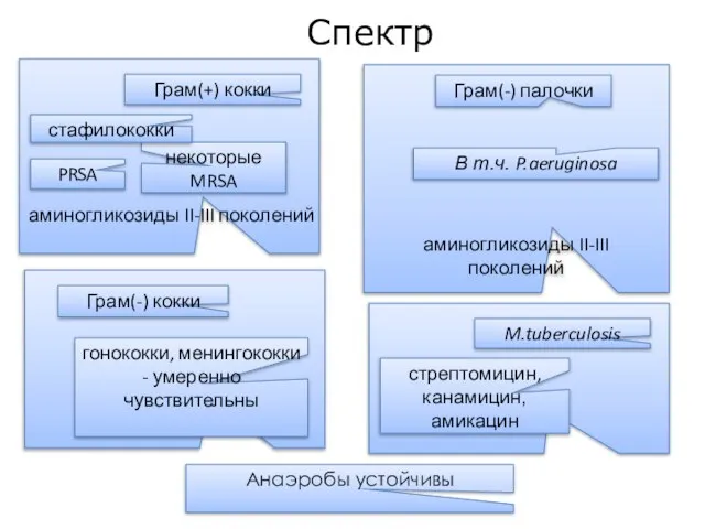 аминогликозиды II-III поколений Грам(-) палочки В т.ч. P.aeruginosa аминогликозиды II-III поколений Грам(+)