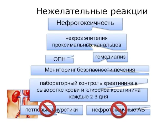 гемодиализ ОПН Нефротоксичность некроз эпителия проксимальных канальцев лабораторный контроль креатинина в сыворотке