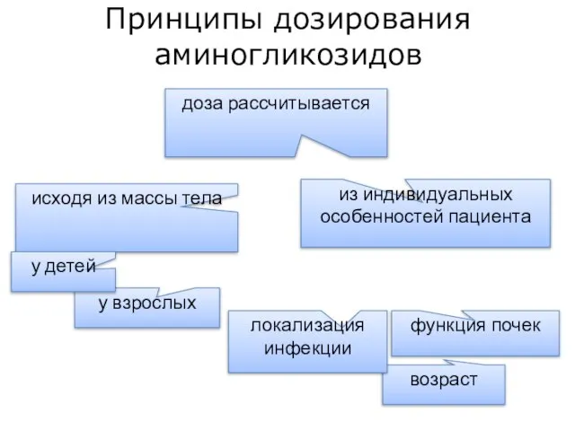 Принципы дозирования аминогликозидов исходя из массы тела у взрослых из индивидуальных особенностей