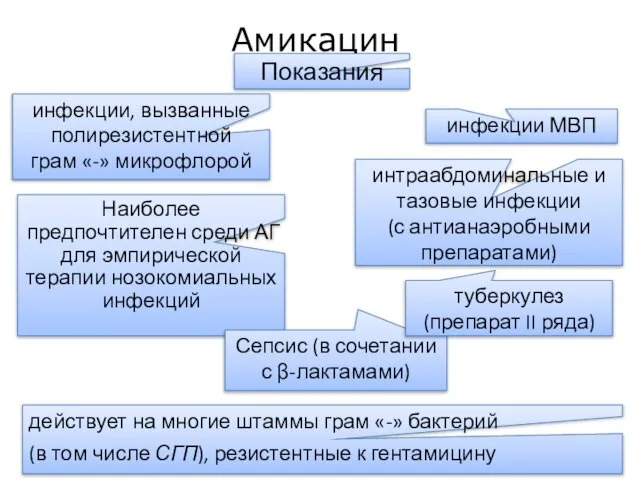 Наиболее предпочтителен среди АГ для эмпирической терапии нозокомиальных инфекций Амикацин Показания инфекции,