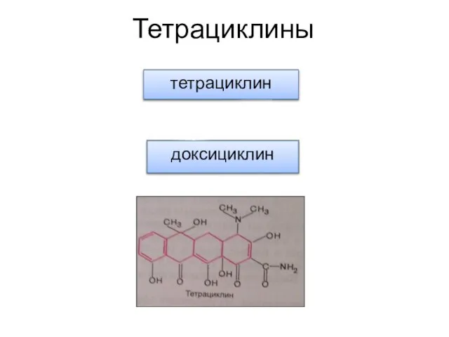 Тетрациклины