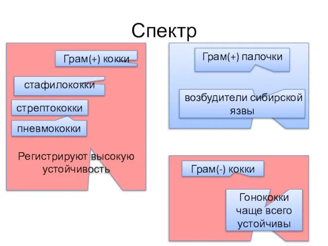 Регистрируют высокую устойчивость Грам(+) кокки пневмококки стрептококки стафилококки Грам(+) палочки Гонококки чаще