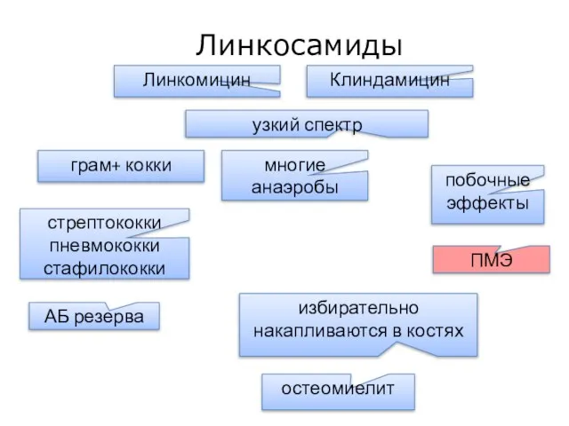 Линкосамиды многие анаэробы стрептококки пневмококки стафилококки Клиндамицин грам+ кокки побочные эффекты ПМЭ