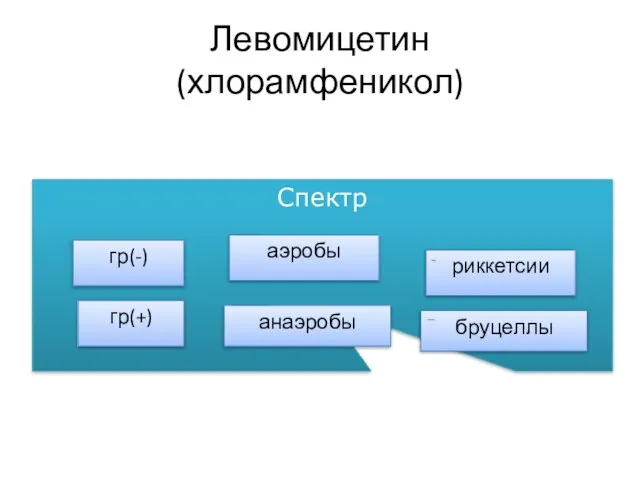 Спектр гр(-) гр(+) аэробы анаэробы риккетсии бруцеллы Левомицетин (хлорамфеникол)