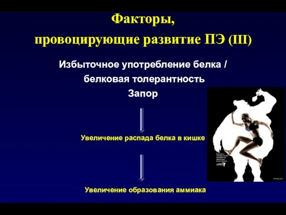 Увеличение распада белка в кишке Избыточное употребление белка / белковая толерантность Запор