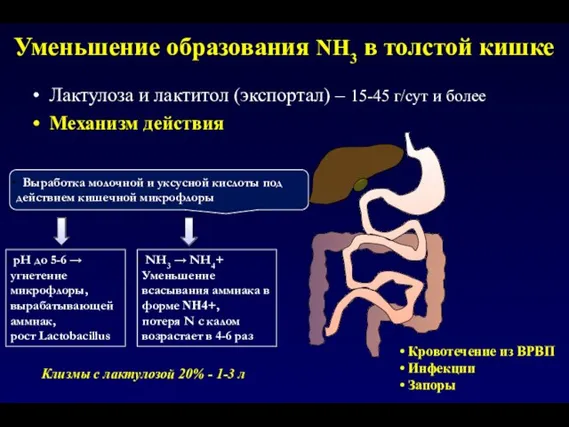 Уменьшение образования NH3 в толстой кишке NН3 → NН4+ Уменьшение всасывания аммиака