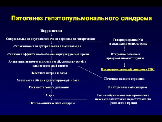 Цирроз печени Синусоидальная внутрипеченочная портальная гипертензия Гиперпродукция NO в спланхнических сосудах Спланхническая