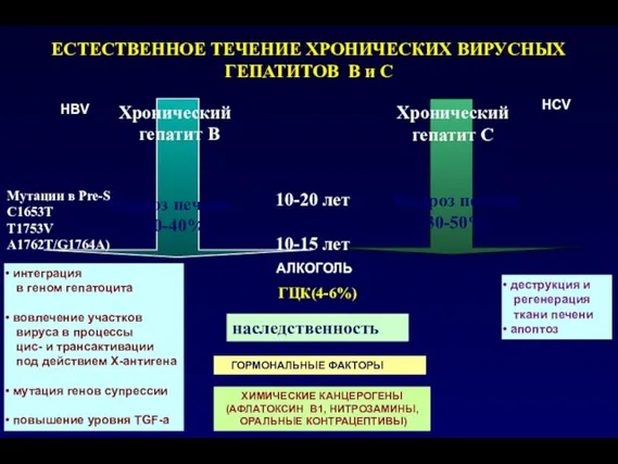 ЕСТЕСТВЕННОЕ ТЕЧЕНИЕ ХРОНИЧЕСКИХ ВИРУСНЫХ ГЕПАТИТОВ В и С Хронический гепатит В Цирроз