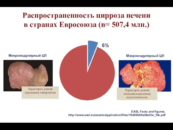 EASL Facts and figures. http://www.easl.eu/assets/application/files/19d80b59a26a03c_file.pdf Распространенность цирроза печени в странах Евросоюза (n=