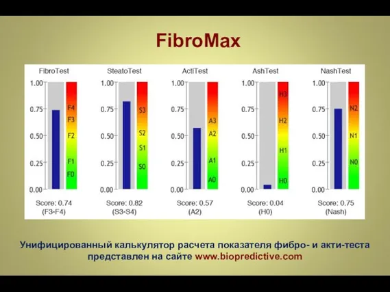 FibroMax Унифицированный калькулятор расчета показателя фибро- и акти-теста представлен на сайте www.biopredictive.com