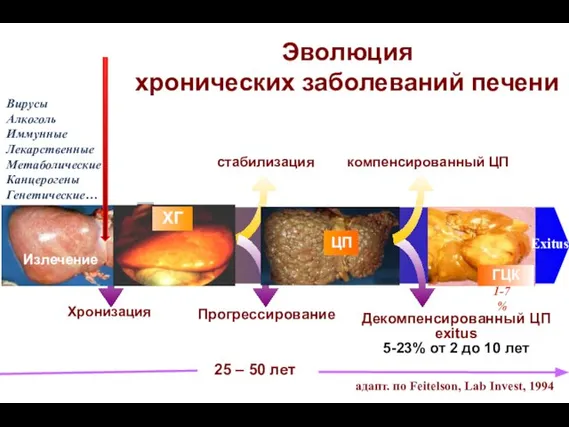 Эволюция хронических заболеваний печени Хронизация 25 – 50 лет стабилизация Прогрессирование Декомпенсированный