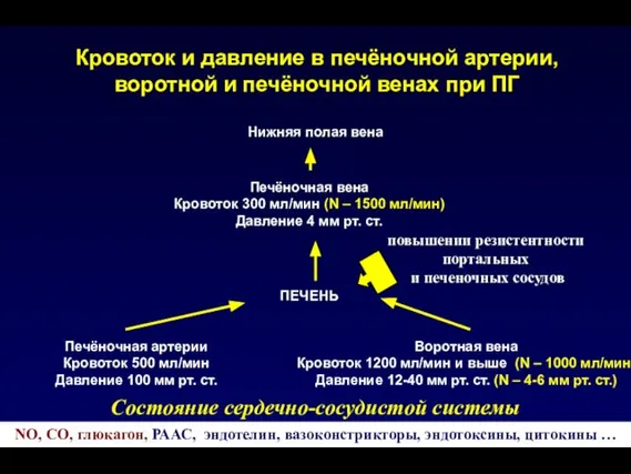 Кровоток и давление в печёночной артерии, воротной и печёночной венах при ПГ